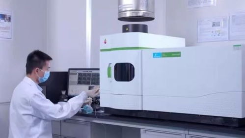 滨海新城光学仪器项目即将投产，战略性新兴产业再添新动能